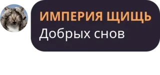 🌎 ИМПЕРИЯ ЩИЩЬ 
Добрых снов 猫, 動物, ロシア語, おやすみ, ステッカー telegram sticker