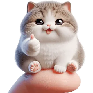 👍 kot, słodki, zwierzę, kciuk w górę, kociak, kawaii, szczęśliwy, pozytywny telegram sticker