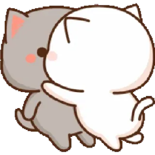 🐼 кот, милый, наклейка, животное, объятие, любовь, нежность telegram sticker