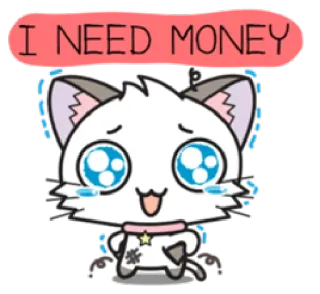 😓 I NEED MONEY gato, dinheiro, desenho animado, fofo, implorando, kawaii, suplicando whatsapp sticker