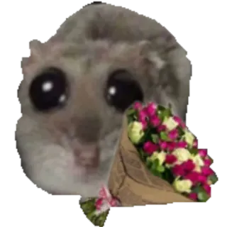 💐 햄스터, 귀여운, 동물, 설치류, 꽃다발, 꽃, 사랑, 선물 whatsapp sticker