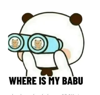 🕵 WHERE IS MY BABU Panda, Fernglas, niedlich, suchend, Tier, Cartoon, Babu whatsapp sticker