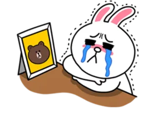 😭 Cony Кони, грустный, плачущий, кролик, дружба, фото, расставание whatsapp sticker