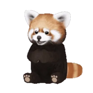 👏 panda rosso, animale, carino, panda, rosso telegram sticker
