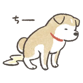 💦 개, 동물, 애완동물, 소변, 오줌 telegram sticker