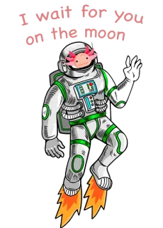 🚀 I wait for you on the moon axolotl, astronot, bulan, luar angkasa, imut, binatang, kartun telegram sticker