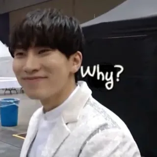 🧨 Why? domanda, parola, espressione, curiosità telegram sticker