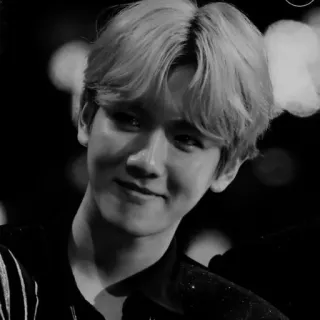 ✖️ Baekhyun baekhyun, kpop, chanteur, idole, exo telegram sticker