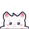 🐱