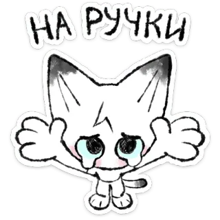 🐱 НА РУЧКИ Katze, Kätzchen, süß, Cartoon, betteln, kawaii whatsapp sticker