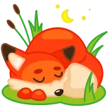 😴