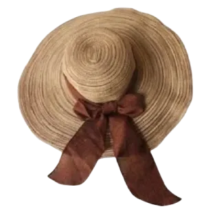 🤎 hat, sun hat, fashion, accessory, ribbon, summer telegram sticker