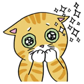 🐈 cat, cute, sticker, cartoon, shocked, surprised telegram sticker