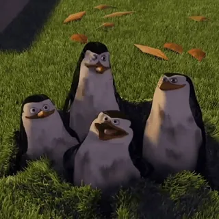 😄 penguins, animation, group, funny, cartoon whatsapp sticker