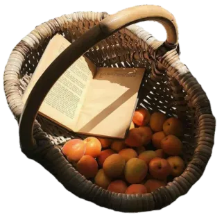 🧺 Korb, Aprikosen, Buch, Lesen, Obst whatsapp sticker