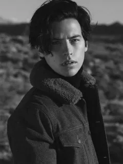 🖇 Cole Sprouse attore, ritratto, bianco e nero, uomo, celebrità telegram sticker