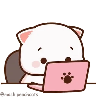 👀 gato, lindo, ordenador, portátil, animal, kawaii, melocotón, escribiendo telegram sticker