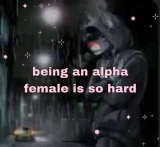 😔 being an alpha female is so hard Femme alpha, Féminin, Humour, Mème, Ironie telegram sticker