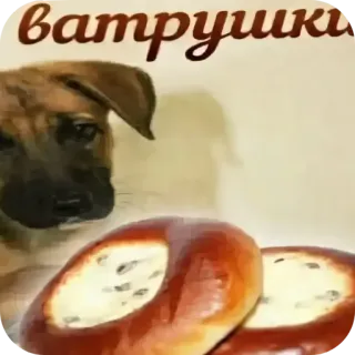 🐶 ватрушки 犬, 食べ物, ватрушка (vatrushka), ペストリー, ロシア料理, 動物 telegram sticker