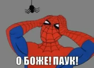 😳 Spider-Man О БОЖЕ! ПАУК! Spider-Man, Marvel, Cartoon, Meme, Russisch, Spinne telegram sticker