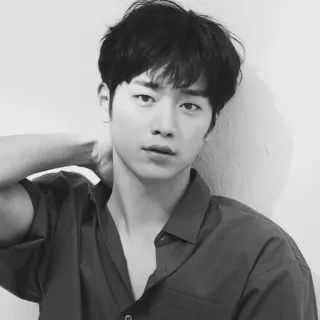 ➖ man, portrait, male, person, casual, shirt telegram sticker