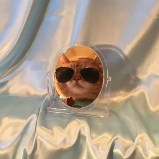 😎 猫, 太阳镜, 镜子, 橙色, 可爱, 动物 telegram sticker