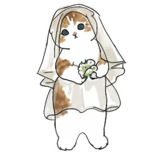 👰 gato, boda, novia, velo, ramo, lindo, animal, dibujo animado whatsapp sticker