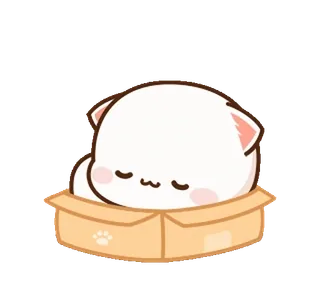 😴 chat, boîte, mignon, kawaii, animal, animal de compagnie telegram sticker