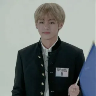 🥢 방탄소년단 V BTS, V, K-pop, cantante, intrattenimento, musica, coreano telegram sticker