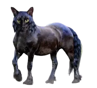 🐎 cat, horse, hybrid, animal, fantasy telegram sticker