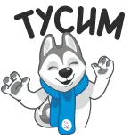 💃 SUPER AWESOME hond, husky, sjaal, schattig, sticker, cartoon, super, feest telegram sticker