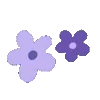 🌺