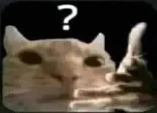 ❔ gatto, domanda, animale, meme, confuso telegram sticker