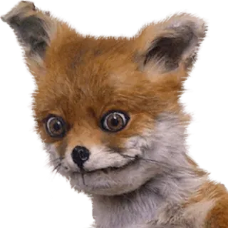 😐 Stuffed Fox Stuffed Fox Meme telegram sticker