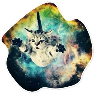 ❤️ kot, kociak, kosmos, galaktyka, gwiazdy, zwierzę telegram sticker