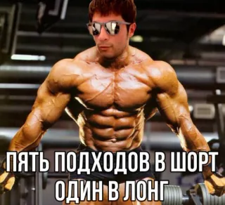 🤌 ПЯТЬ ПОДХОДОВ В ШОРТ ОДИН В ЛОНГ Бодибилдинг, Фитнес, Спортзал, Мускулы, Тренировка, Атлет telegram sticker