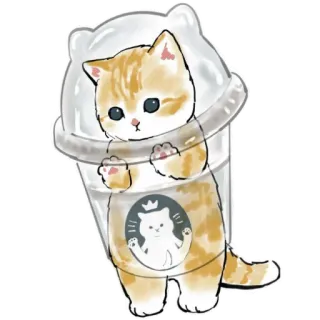 😔 Katze, Kaffee, süß, Kätzchen, Tier, Getränk, Aufkleber whatsapp sticker