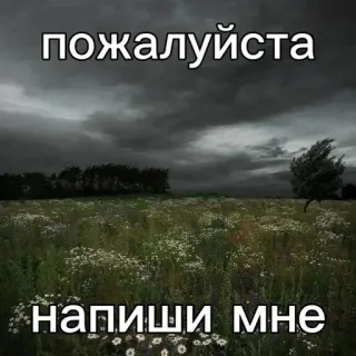 🙏 пожалуйста напиши мне Landschaft, Wolken, Feld, Blumen, Text, Anfrage telegram sticker