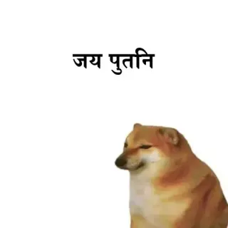 😈 जय पुतनि doge, perro, meme, hindi, texto telegram sticker