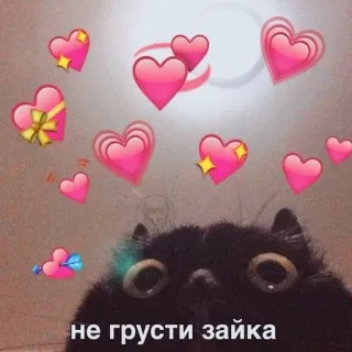 🩰 не грусти зайка Katze, Herzen, Liebe, süß, Kätzchen whatsapp sticker