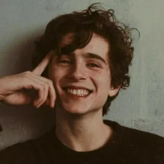 🦇 Timothée Chalamet actor, celebridad, retrato, hombre, primer plano telegram sticker