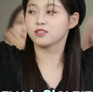 🦔 다시 찍어 드릴까요? persona, mujer, coreana, k-pop, entretenimiento telegram sticker