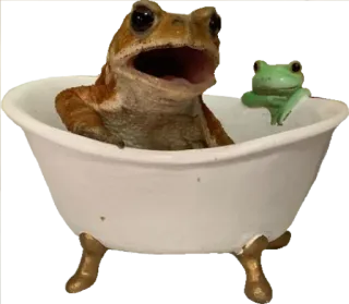❤️ rã, sapo, banheira, anfíbio, animais, fofo whatsapp sticker