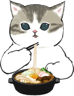 🍲 cat, eating, noodles, chopsticks, cute, animal telegram sticker