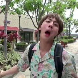 🐹 Jin kpop, sänger, entertainer, selfie, person, mann telegram sticker