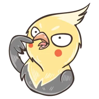 🍗 uccello, calopsitta, cartone animato, carino, divertente, animale telegram sticker