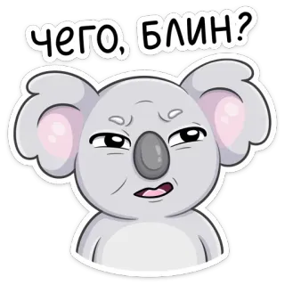 ❓ ЧЕГО, БЛИН? коала, стикер, мультфильм, животное, русский, выражение telegram sticker
