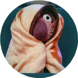 😰 con rối, khăn tắm, tắm, thoải mái, thư giãn, chó telegram sticker