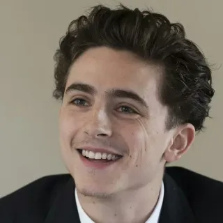 😃 Timothée Chalamet นักแสดง, ภาพบุคคล, คนดัง, ผู้ชาย, คน, ยิ้ม telegram sticker