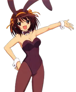 🐰 Anime, Bunny Girl, Cosplay, Haruhi Suzumiya, Bunny Suit, Süß, Charakter whatsapp sticker